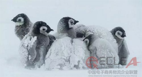未標(biāo)題-1 副本.jpg